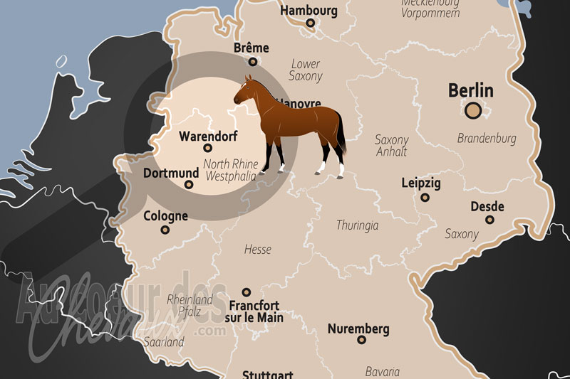 Warendorf, la capitale mondiale de l'�quitation et de l'excellence westphalienne