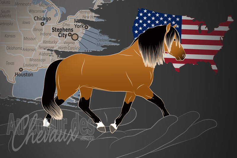 La Soci�t� du Poney et du Cob Welsh d'Am�rique, une organisation qui g�re le poney welsh aux �tats-unis