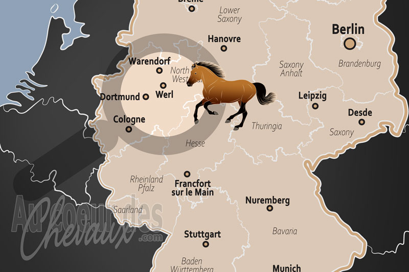 Werl, le cheval au c?ur de la tradition westphalienne et du dynamisme du hellweg