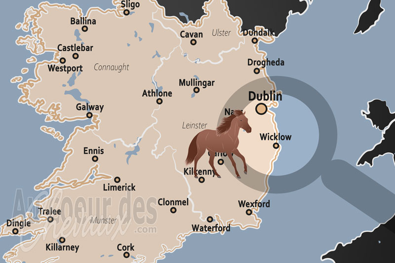 Wicklow, terre d'�lection du cheval au c?ur du � jardin de l'irlande �