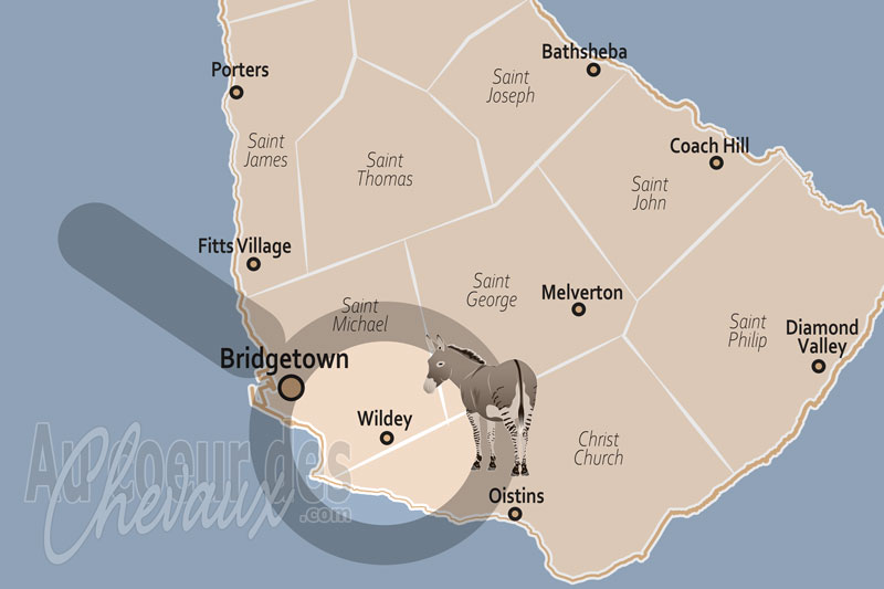 La localisation de Wildey en Barbade