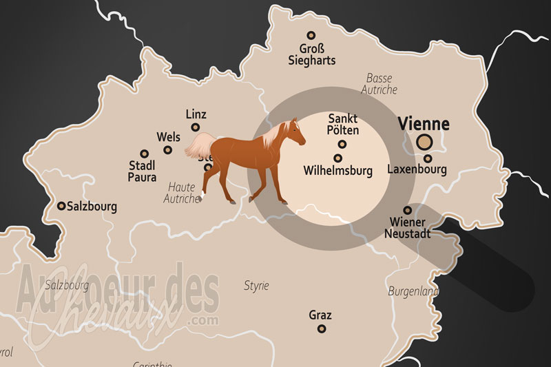 La localisation de Wilhelmsburg en Autriche