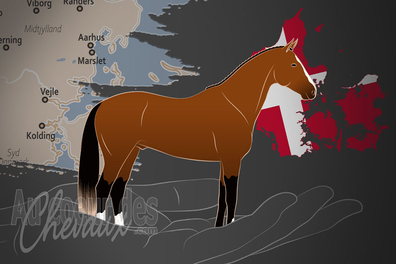 La World Breeding Federation for Sport Horses un organisme de race au Danemark