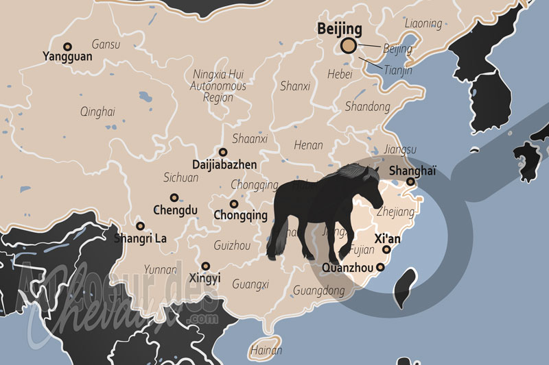 Xi'an, le cheval de jinjiang et l'adaptation des �quid�s au milieu subtropical