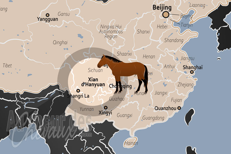 Le Xian d'Hanyuan, le galop des montagnes sur l'ancienne route du th�