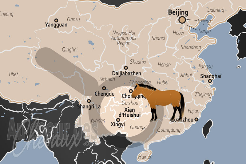 Le Xian d'Huishui, les petits centaures des collines au pays des buyi