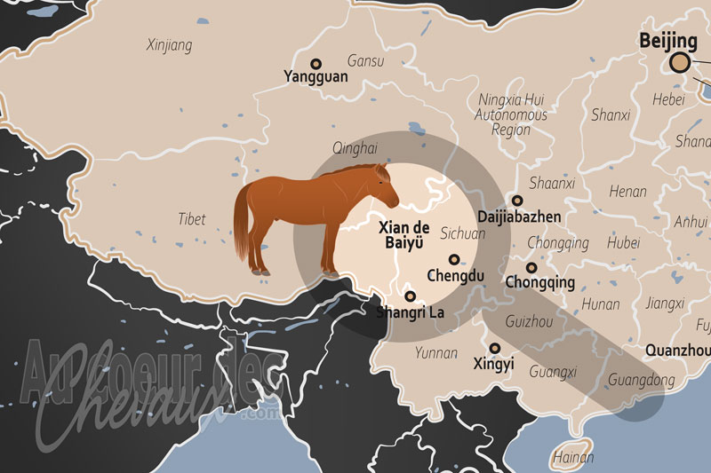 Le Xian de Baiy�, l'�pop�e �questre de baiy�