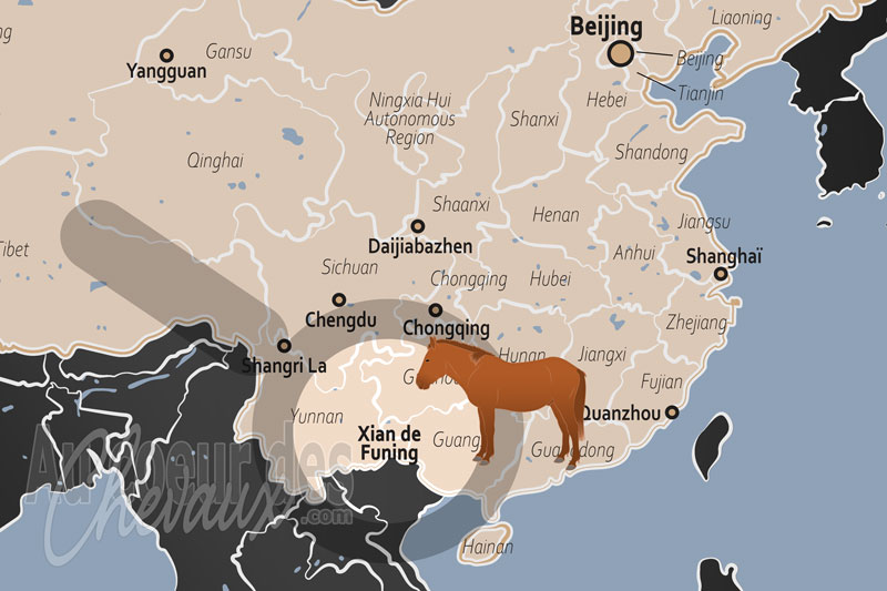 Le Xian de Funing, le galop des petits g�ants au royaume des karsts verts