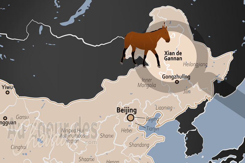 Le Xian de Gannan, le galop d'acier des plaines de la terre noire