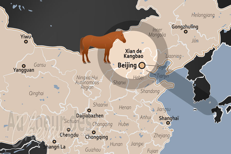 La localisation du Xian de Kangbao en Chine