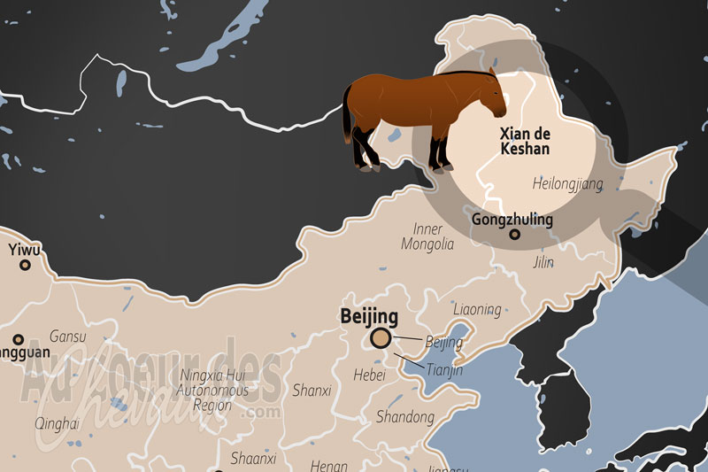 La localisation du Xian de Keshan en Chine