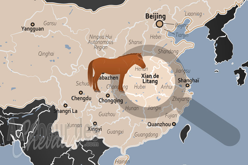 La localisation du Xian de Litang en Chine