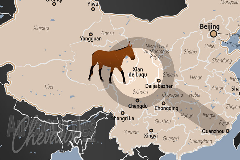 La localisation du Xian de Luqu en Chine