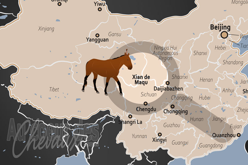 La localisation du Xian de Maqu en Chine