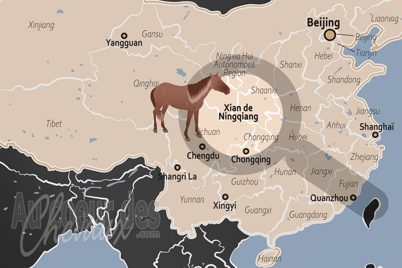 La localisation du Xian de Ningqiang en Chine