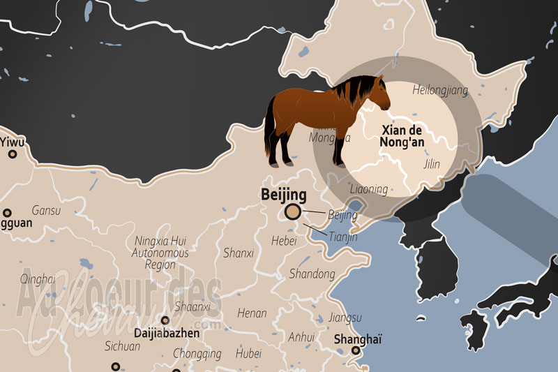 La localisation du Xian de Nong'an en Chine