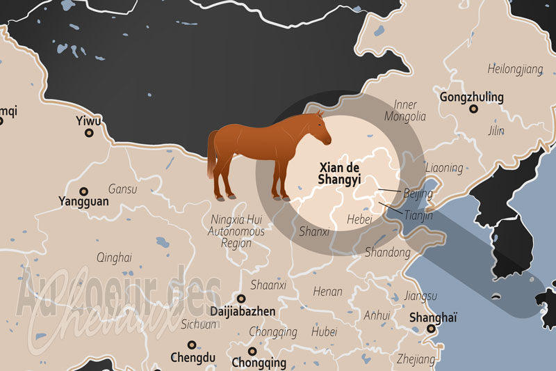 La localisation du Xian de Shangyi en Chine