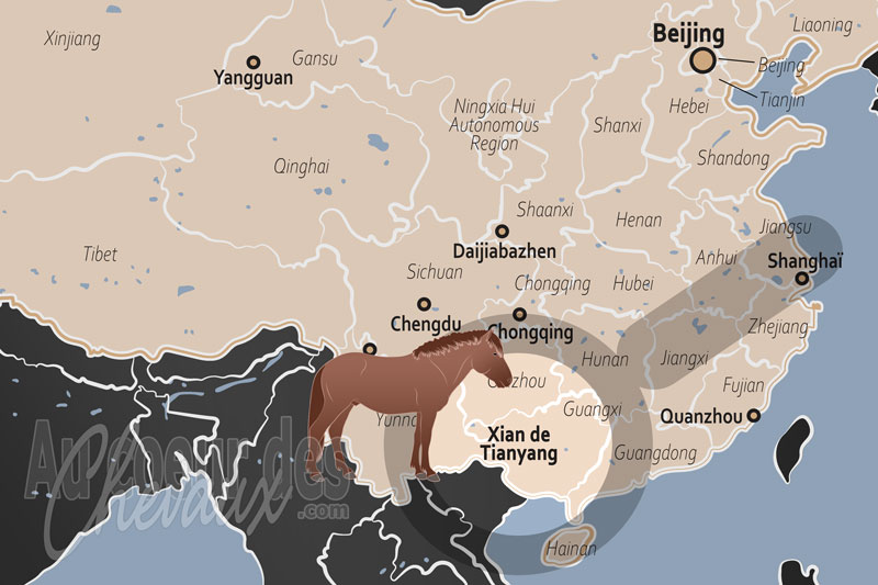 La localisation du Xian de Tianyang en Chine