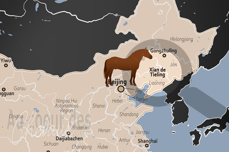 La localisation du Xian de Tieling en Chine