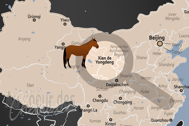 La localisation du Xian de Yongdeng en Chine