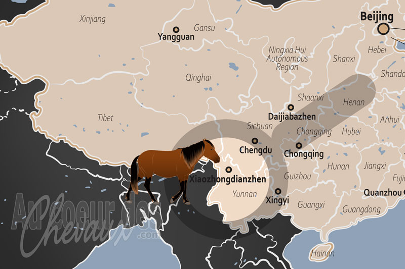La localisation de Xiaozhongdianzhen en Chine