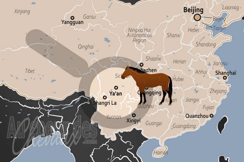 Ya'an, carrefour historique de l'ancienne route du th� et des chevaux