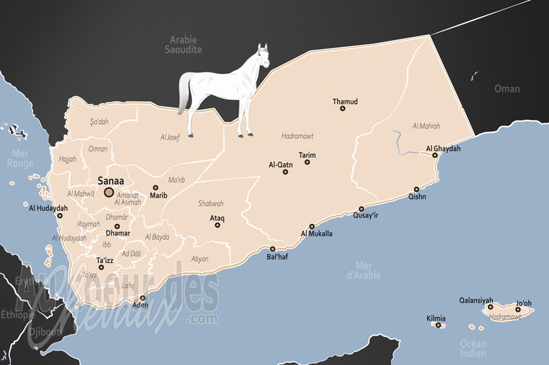 Le Y�men, un patrimoine ancestral au c?ur des montagnes d'arabie