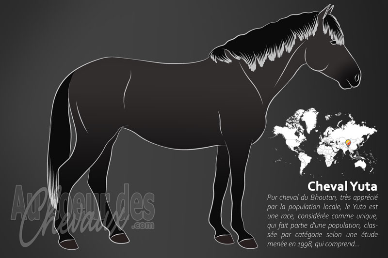 Le Cheval Yuta, le pilier des vall�es du bhoutan