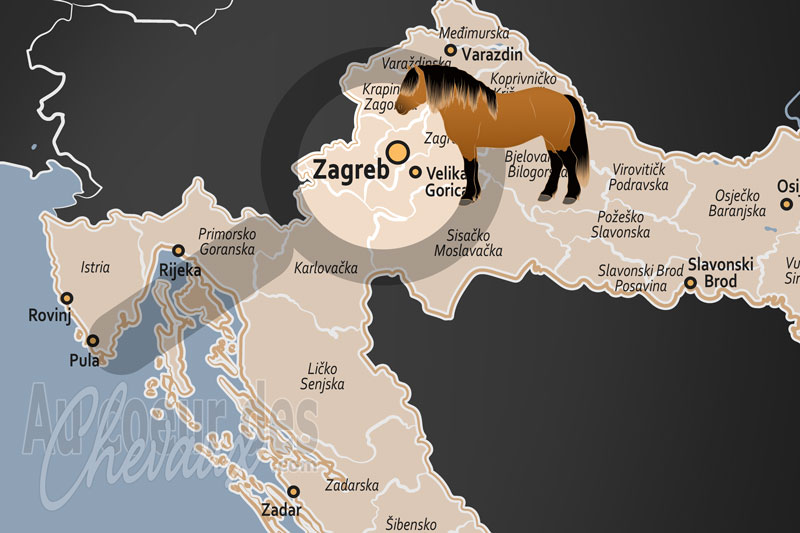 Zagreb, carrefour de l'�quitation sportive et de l'h�ritage �quin des balkans