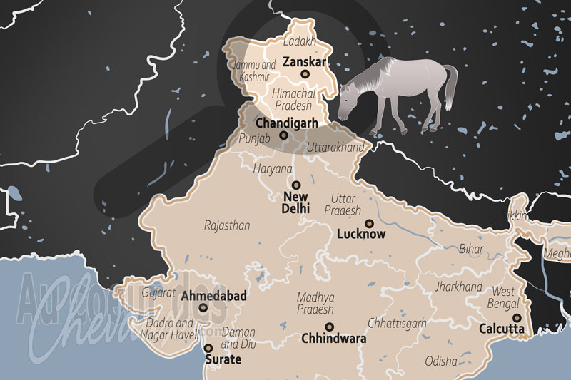 Zanskar, l'odyss�e des crins d'acier sur le toit du monde