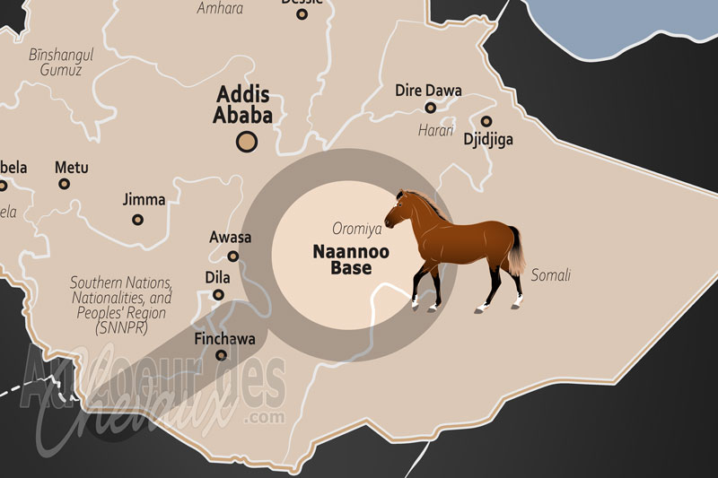 La Zone de Bale, le galop des nuages sur les toits de l'afrique