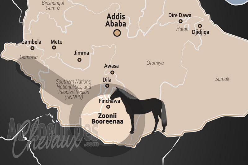 La Zone de Borena, les sabots de la r�silience sur les terres de la soif