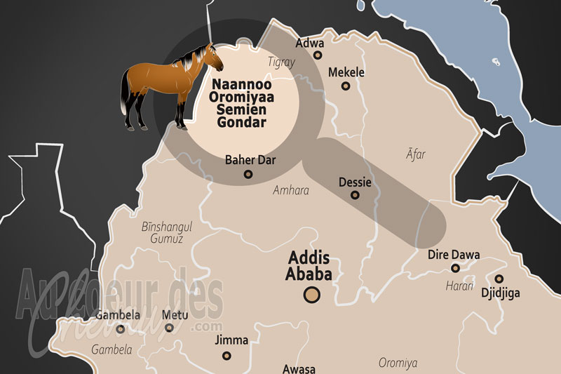 La Zone de Semien Gondar, le galop des seigneurs sur le toit de l'afrique