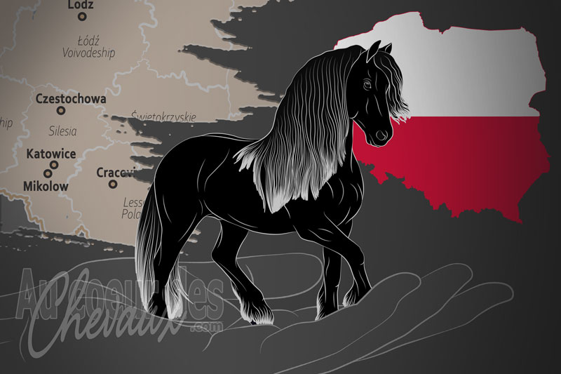 La Zwiazek Hodowc�w Koni Fryzyjskich W Polsce un organisme de race en Pologne